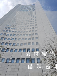 支付宝借呗逾期提前收回全部欠款-支付宝借呗逾期提前收回全部欠款怎么办