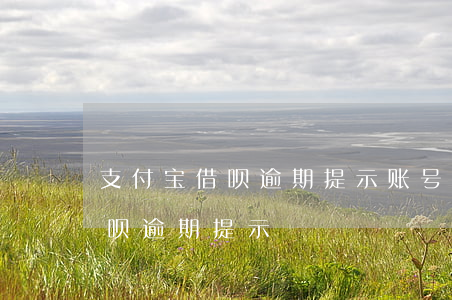 支付宝借呗逾期提示账号异常注销（支付宝借呗逾期 提示）