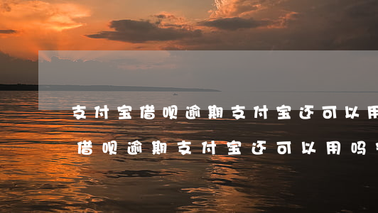 支付宝借呗逾期支付宝还可以用吗-支付宝借呗逾期支付宝还可以用吗安全吗