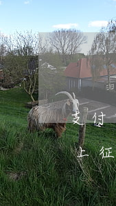 支付宝借呗逾期时候挂征信 支付宝借呗逾期上征信吗?