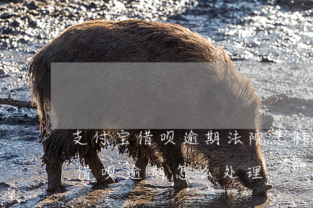 支付宝借呗逾期法院怎样处理-支付宝花呗借呗逾期怎么处理