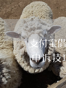 支付宝借呗逾期申诉技巧-支付宝借呗逾期申诉技巧有哪些