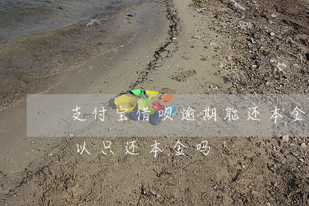 支付宝借呗逾期能还本金么(借呗逾期之后可以只还本金吗)