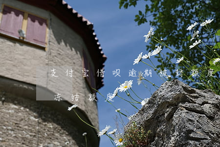 支付宝借呗逾期被封额度(借呗逾期多久会被冻结额度)