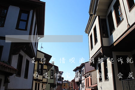支付宝借呗逾期被起诉就算失信被执行人了吗（支付宝借呗逾期会成失信人吗）