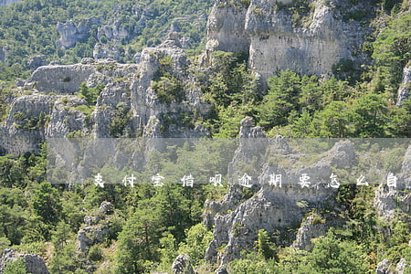 支付宝借呗逾期要怎么自救
