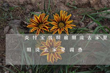 支付宝借呗逾期说去家里调查 支付宝借呗逾期说去家里调查