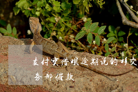 支付宝借呗逾期说的移交法务(支付宝借呗法务部催款)