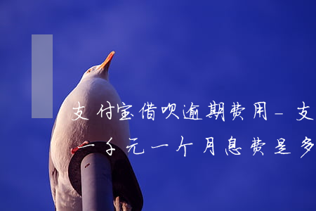 支付宝借呗逾期费用-支付宝借呗逾期费用一千元一个月息费是多少
