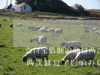 支付宝借呗逾期过两次-支付宝借呗逾期过两次修复了影响办信用卡吗