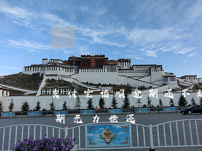 支付宝借呗逾期还不起怎么办（支付宝借呗逾期无力偿还）