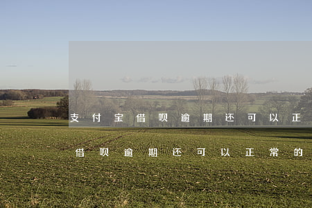 支付宝借呗逾期还可以正常的用吗-支付宝借呗逾期还可以正常的用吗安全吗