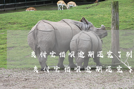 支付宝借呗逾期还完了别的平台借不了款-支付宝借呗逾期还完了别的平台借不了款怎么办