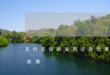 支付宝借呗逾期还款优惠政策(借呗逾期减免政策)