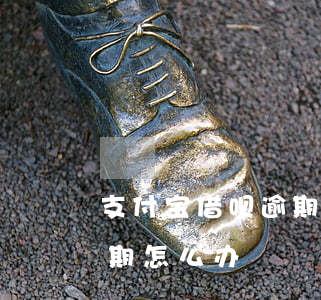 支付宝借呗逾期还能借吗(如果支付宝借呗逾期怎么办?)