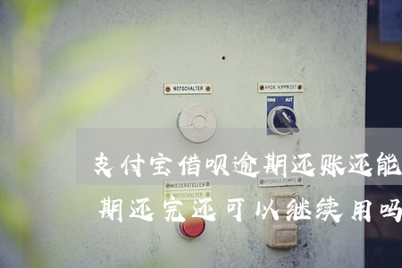 支付宝借呗逾期还账还能用吗(支付宝借呗逾期还完,还可以继续用吗)