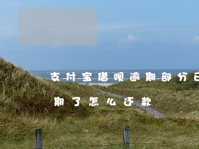 支付宝借呗逾期部分已还完了(支付宝借呗逾期了怎么还款)