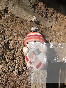 支付宝借呗逾期需要的困难证明去哪里盖章-支付宝借呗逾期需要的困难证明去哪里盖章呢