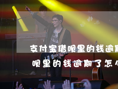 支付宝借呗里的钱逾期了怎么办-支付宝借呗里的钱逾期了怎么办啊