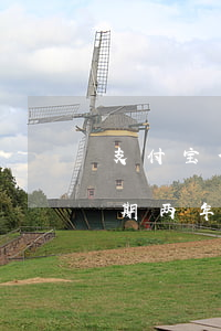 支付宝借呗金钱逾期未还(支付宝借呗花呗逾期两年无力偿还会不会坐牢)