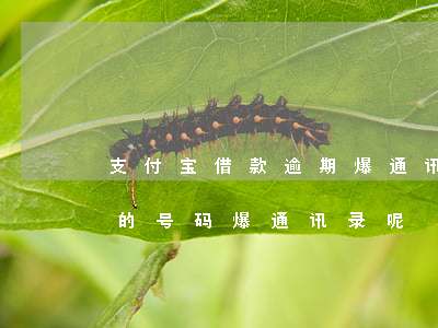 支付宝借款逾期爆通讯录 支付宝逾期哪里来的号码爆通讯录呢