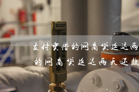 支付宝借的网商贷延迟两天还款-支付宝借的网商贷延迟两天还款可以吗