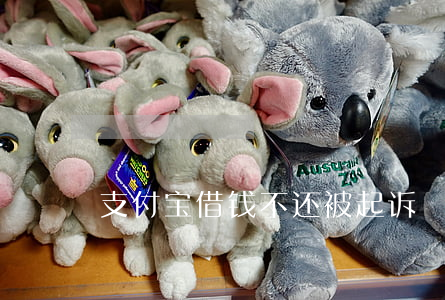 支付宝借钱不还被起诉