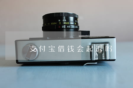 支付宝借钱会起诉吗