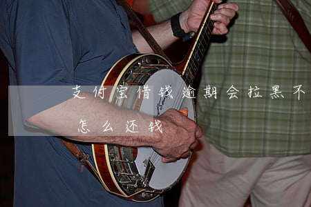 支付宝借钱逾期会拉黑不(支付宝借钱被拉黑怎么还钱)