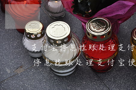 支付宝停息挂账处理,支付宝使用吗-支付宝停息挂账处理,支付宝使用吗安全吗
