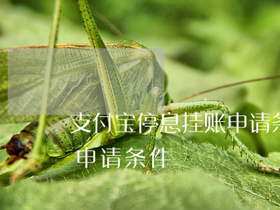 支付宝停息挂账申请条件(借呗可以停息挂账申请条件)