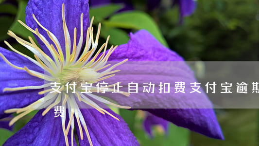 支付宝停止自动扣费（支付宝逾期取消自动扣费）