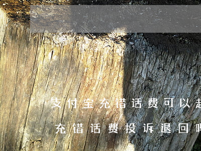 支付宝充错话费可以起诉受益方么-支付宝充错话费投诉退回吗