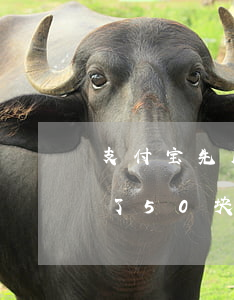 支付宝先用后付逾期了(支付宝先用后付逾期了50块)