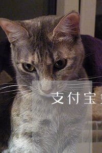 支付宝免丫租赁逾期(支付宝免押金租车逾期)