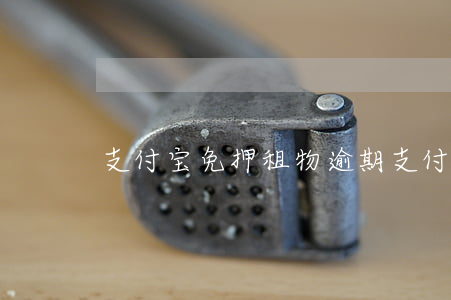 支付宝免押租物逾期(支付宝租物免押条件)