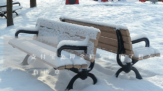 支付宝免押金租车逾期了 租车支付宝免押金有违章