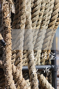 支付宝八千逾期多久起诉(支付宝逾期四千多起诉)
