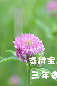支付宝六千逾期一年了（支付宝六千本金逾期三年会起诉吗）