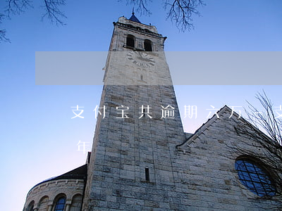 支付宝共逾期六万-支付宝欠款六万逾期半年