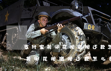 支付宝关闭花呗借呗还款怎么回事-支付宝关闭花呗借呗还款怎么回事啊