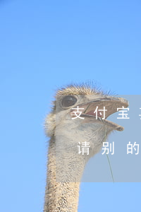 支付宝其他网贷逾期记录(支付宝逾期还能申请别的网贷吗)