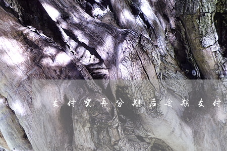 支付宝再分期后逾期(支付宝二次分期后逾期)
