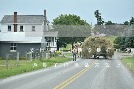 支付宝再分期逾期打电话说要上门-支付宝逾期了,打电话来,说上门