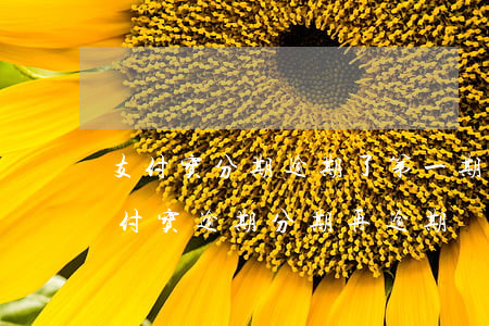 支付宝分期逾期了第一期快逾期三个月了（支付宝逾期分期再逾期）