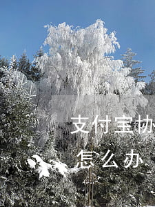 支付宝协商不成功起诉(支付宝协商不了还款怎么办)