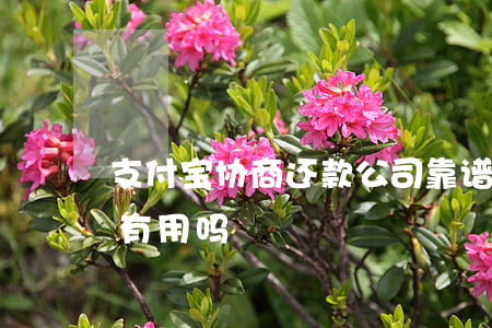 支付宝协商还款公司靠谱吗 支付宝协商还款有用吗