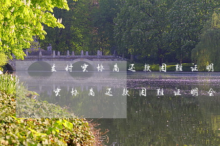 支付宝协商还款困难证明会去核实吗-支付宝协商还款困难证明会去核实吗安全吗