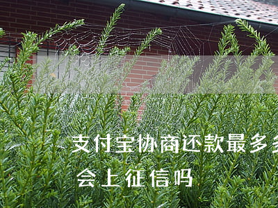 支付宝协商还款最多多少期(支付宝协商还款会上征信吗)