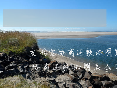 支付宝协商还款证明怎么写能成功-支付宝协商还款证明怎么写能成功呢